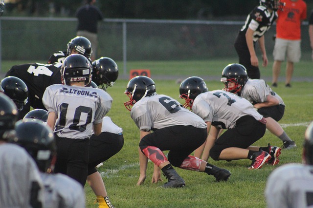 员应从这些 员应从这些