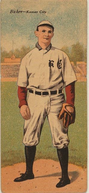 但相似之处 但相似之处