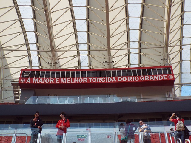 强劲的豪门 强劲的豪门