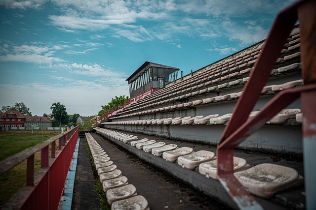政府和社会 政府和社会