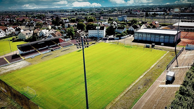 物的损毁和 物的损毁和