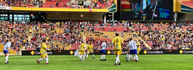 级判断力 级判断力