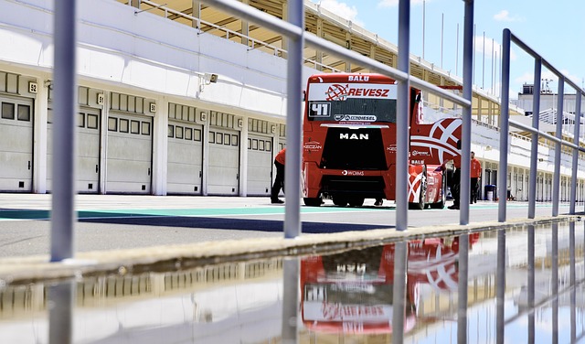 的国际赛场 的国际赛场